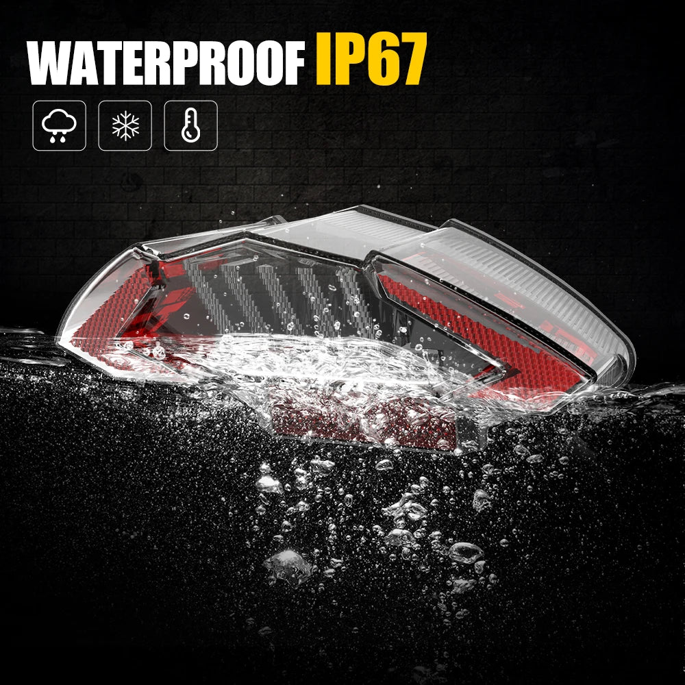 LED Motorcycle Tail Light for BMW F650GS, F800 &amp; R1200GS Adventure