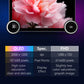 6+128G  DSP Carplay Car Cudio 2015 RDS Car Multimedia System Radio for Kia Sorento Car Dvd Player Android Auto Chevrolet