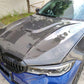 HAMANN Style Carbon Fiber Hood for BMW M340i & 3 Series G20 (2019+)
